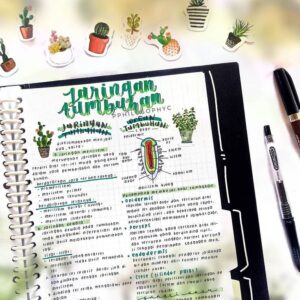 Menulis Catatan yang Efektif dengan Aesthetic Notes